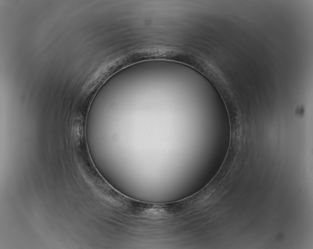 X0000116340119200912151337