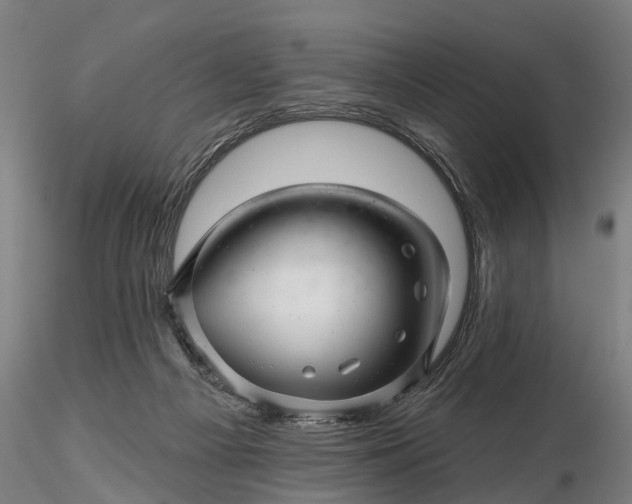 X0000116340121200912151337