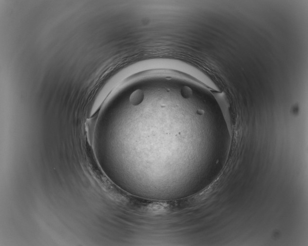 X0000116340124200912151337