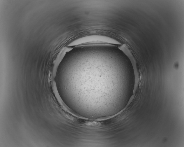 X0000116340125200912151337