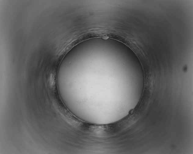 X0000116340131200912151337