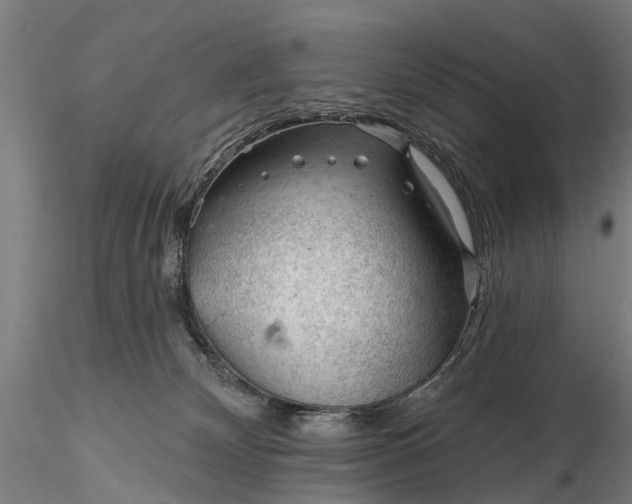 X0000116340132200912151337