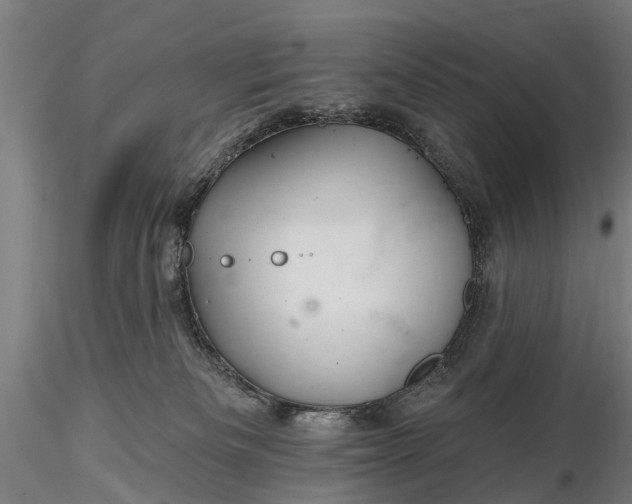 X0000116340133200912151337