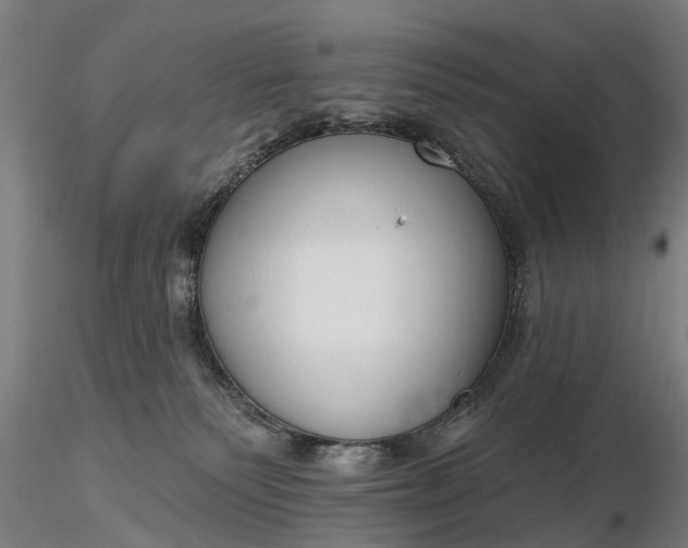 X0000116340135200912151336