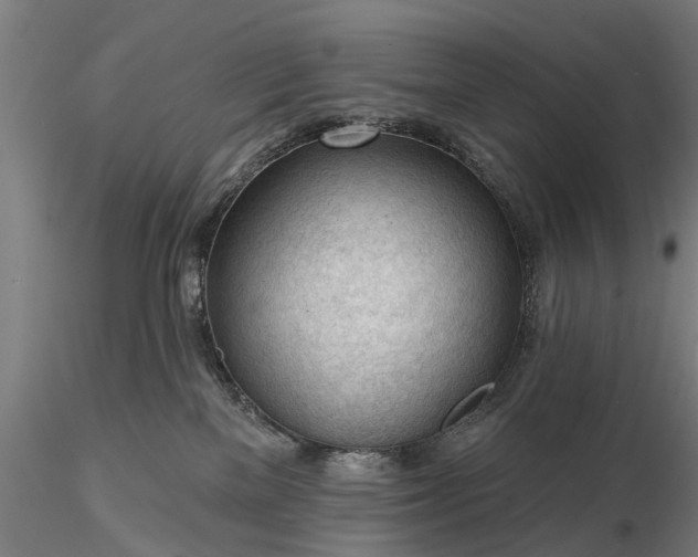 X0000116340137200912151336