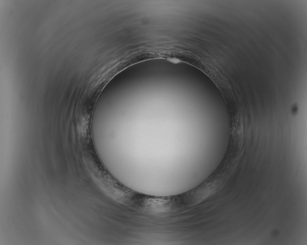 X0000116340139200912151336