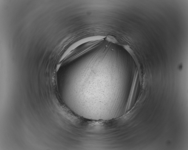 X0000116340140200912151336