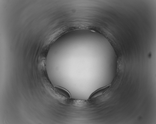 X0000116340141200912151336