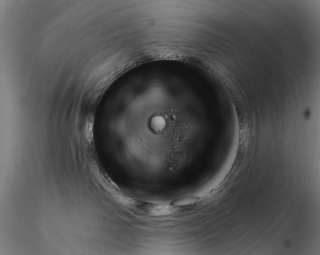 X0000116340142200912151336