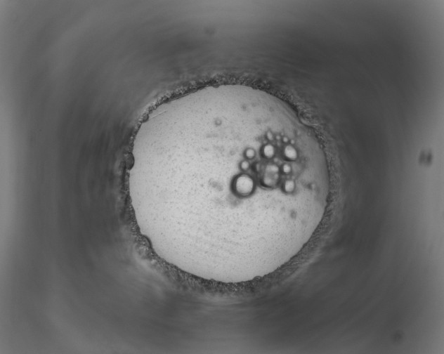 X0000116340144200912151336