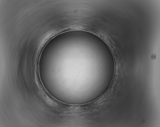 X0000116340145200912151336