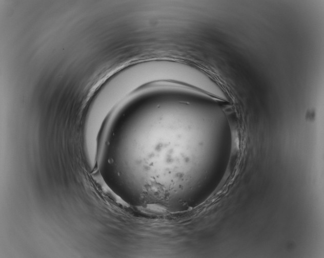 X0000116340146200912151336