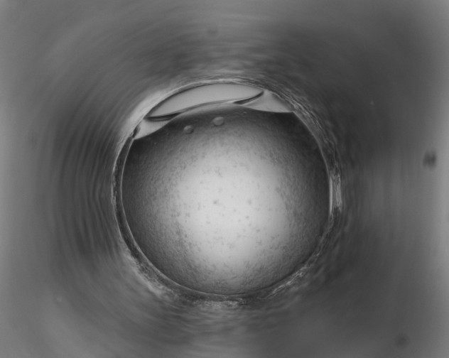 X0000116340147200912151336