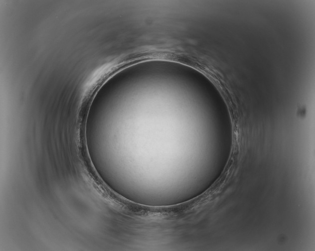 X0000116340149200912151336