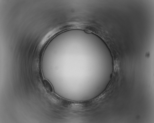 X0000116340150200912151336