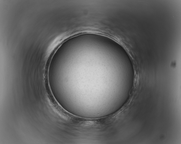 X0000116340151200912151336