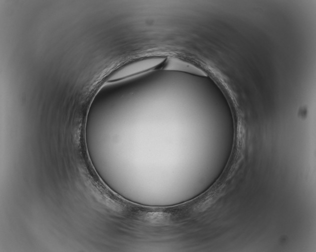 X0000116340153200912151336