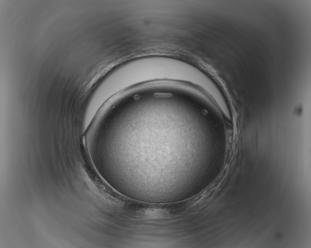 X0000116340154200912151336