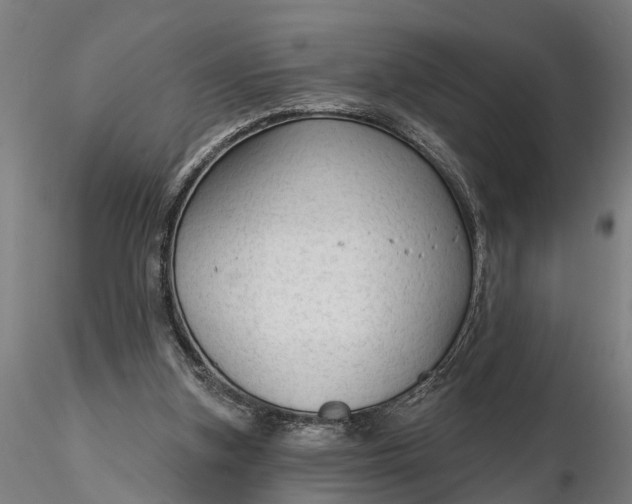 X0000116340155200912151336