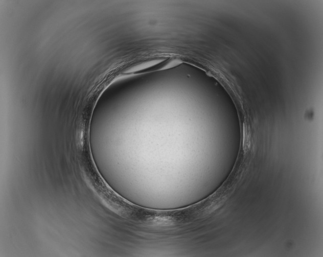 X0000116340157200912151336