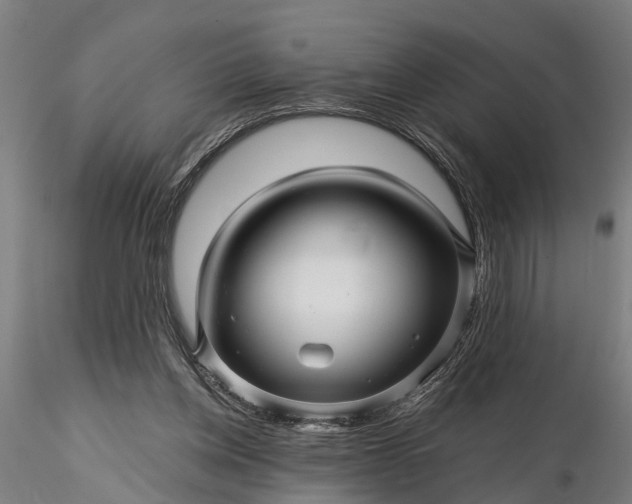 X0000116340158200912151336