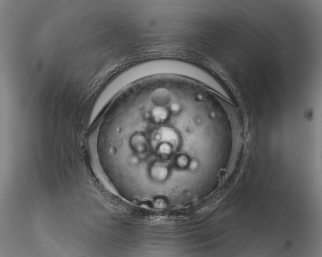 X0000116340161200912151336