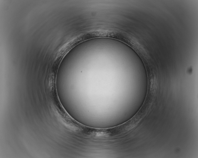 X0000116340165200912151336