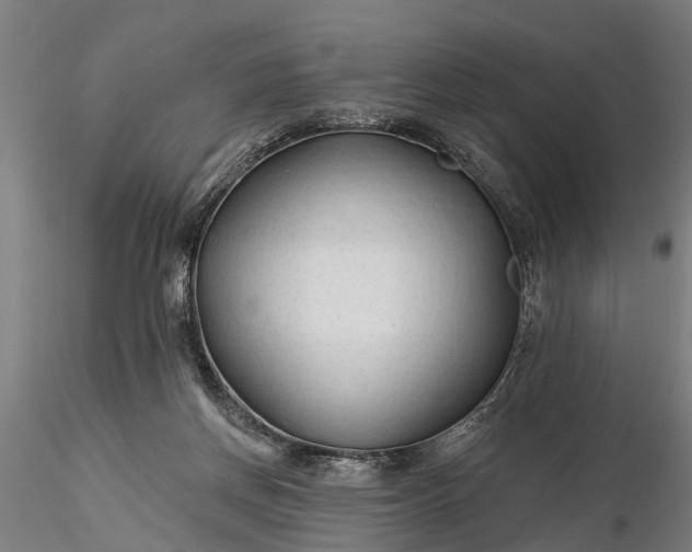 X0000116340166200912151336