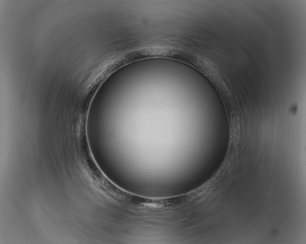 X0000116340167200912151336