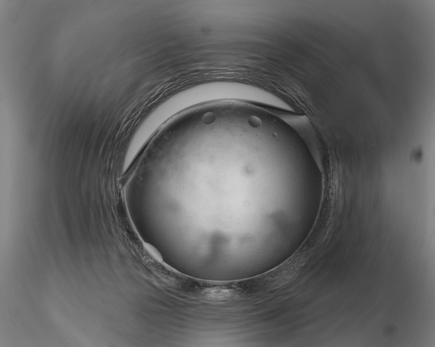 X0000116340169200912151336