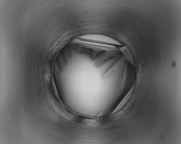 X0000116340170200912151336