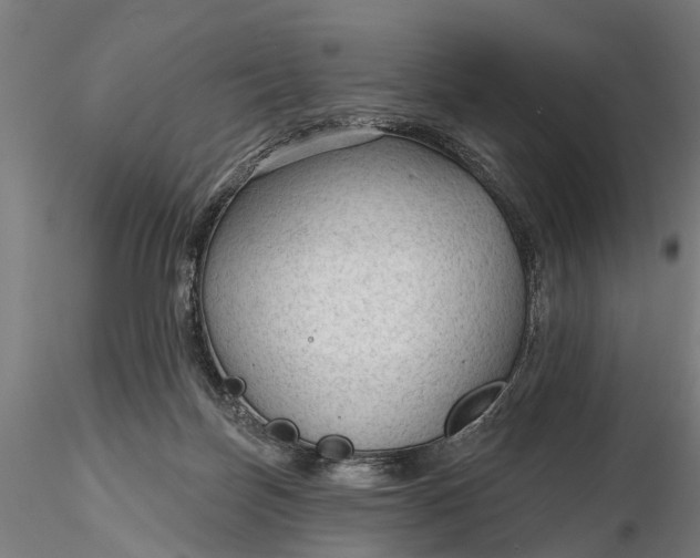 X0000116340171200912151336