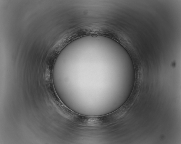 X0000116340173200912151336