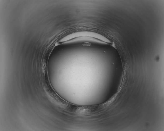 X0000116340174200912151336