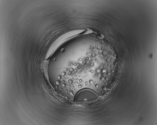 X0000116340175200912151336