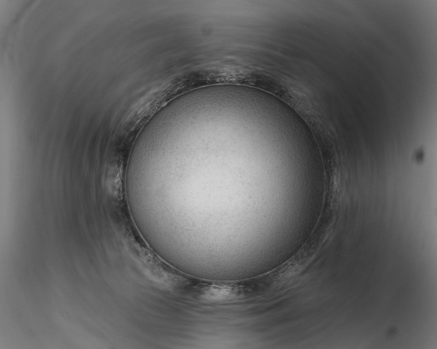 X0000116340177200912151336