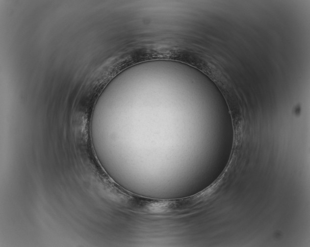 X0000116340178200912151336