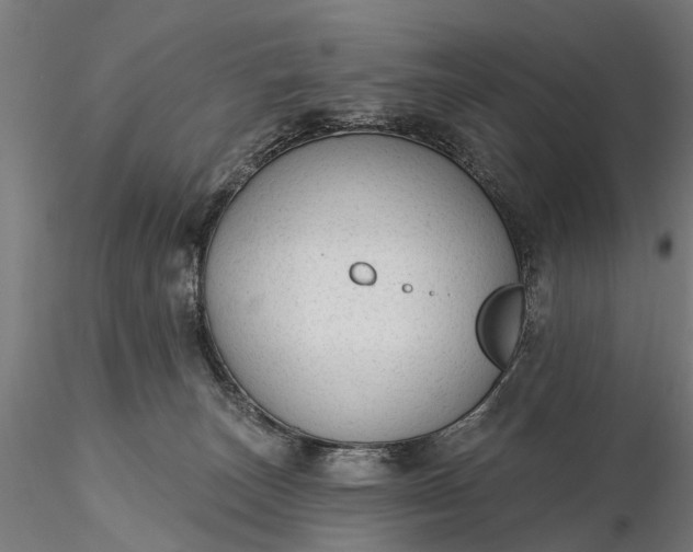 X0000116340179200912151336