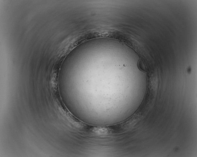 X0000116340181200912151336