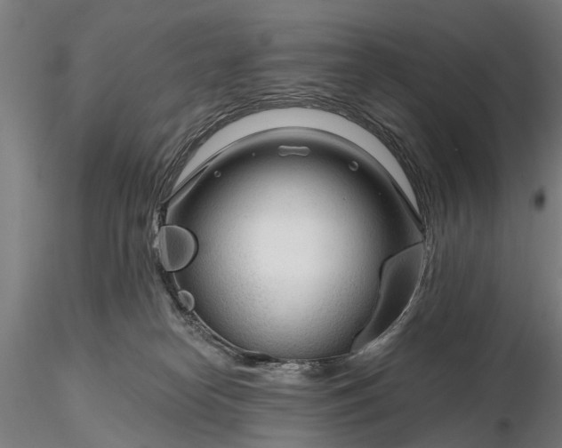 X0000116340182200912151336