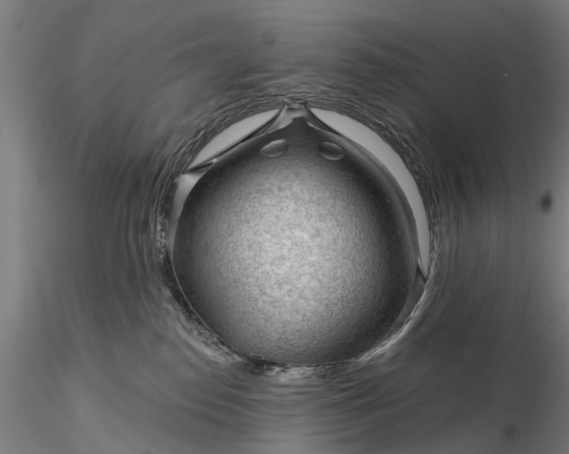 X0000116340186200912151336