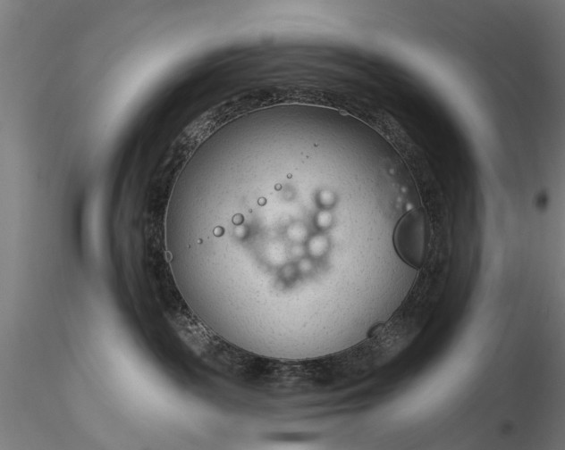 X0000116340189200912151336