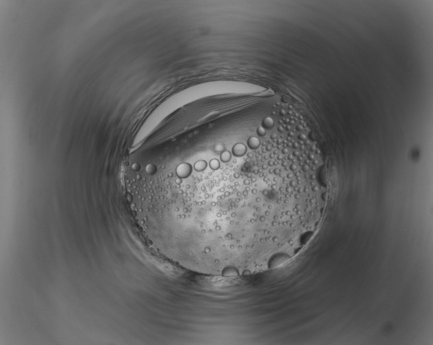 X0000116340191200912151336