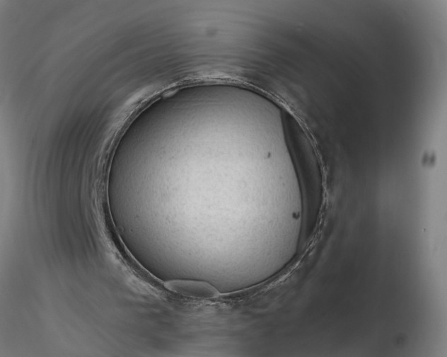 X0000116340193200912151336