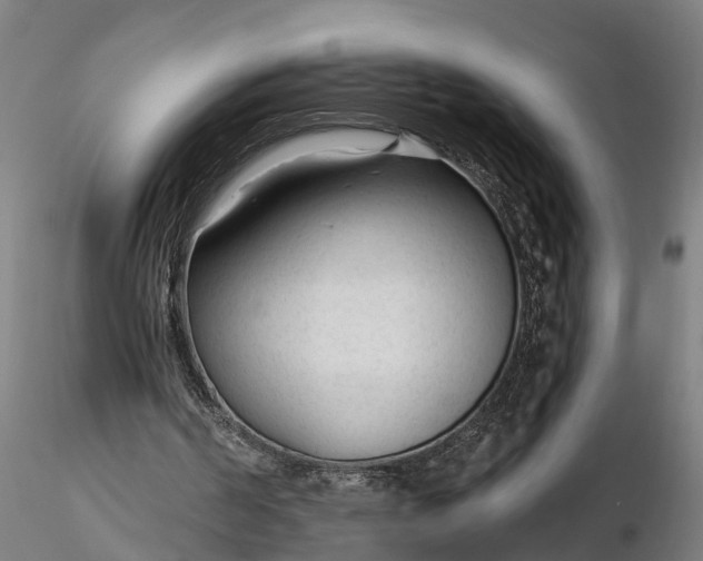 X0000116340194200912151336