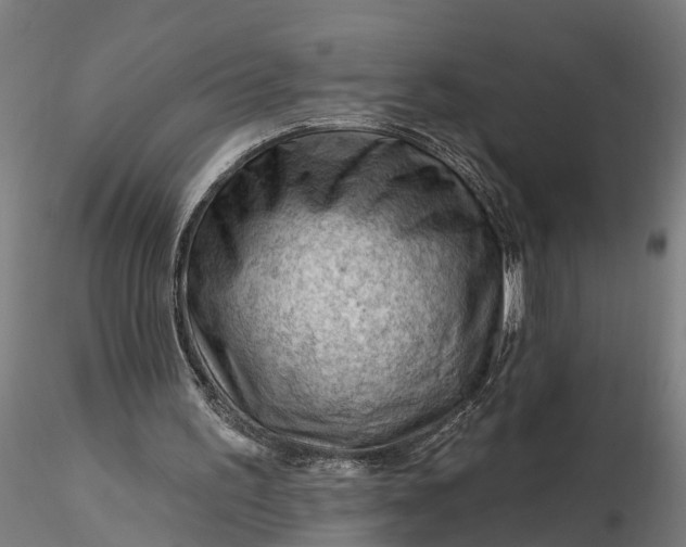 X0000116340195200912151336