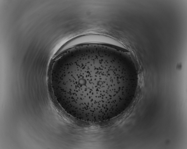 X0000116340196200912151336