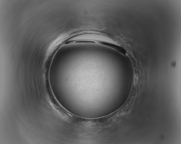 X0000116340197200912151336