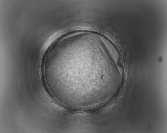 X0000116340199200912151336