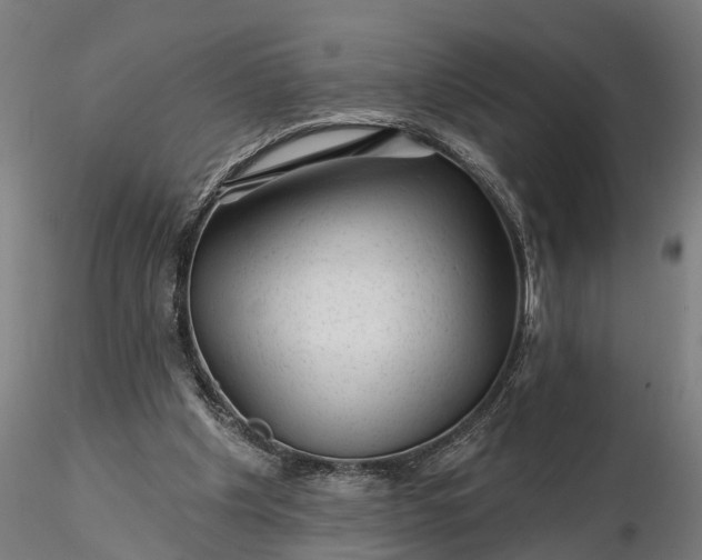 X0000116340201200912151336